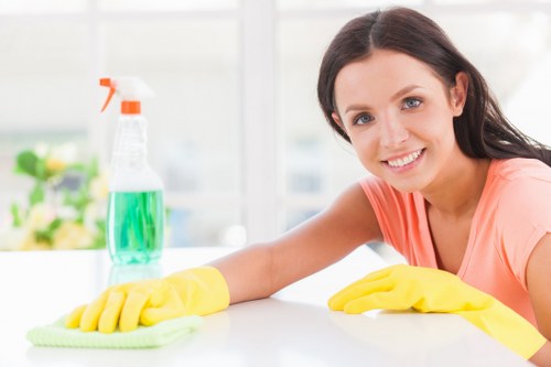Professional oven cleaning service in Bow removing grease from a kitchen oven