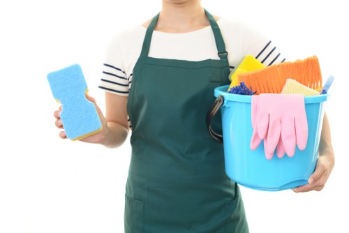 Professional carpet cleaning in Bow for a fresh home interior