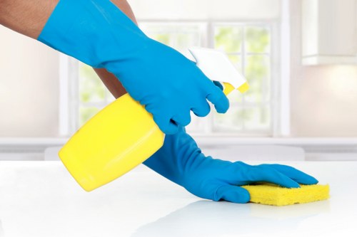 Carpet cleaning equipment used by a Bow carpet cleaner in a home