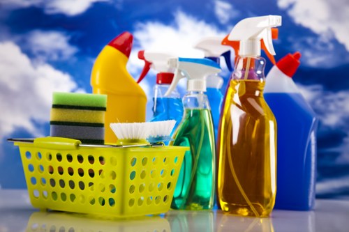 Professional domestic cleaning in Bow for a tidy living room