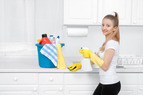 Regular house cleaning in Bow for family properties